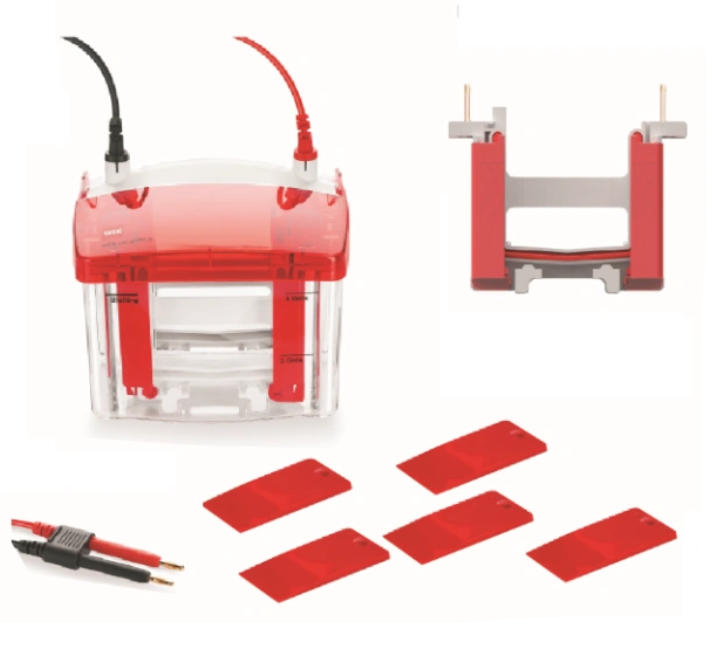 WIX-multiPRO2 預(yù)制膠電泳槽